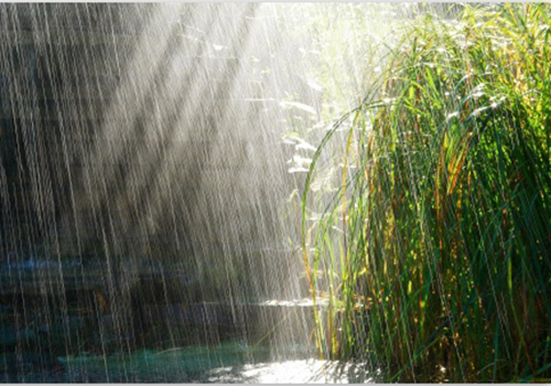 随笔|夏天的雨